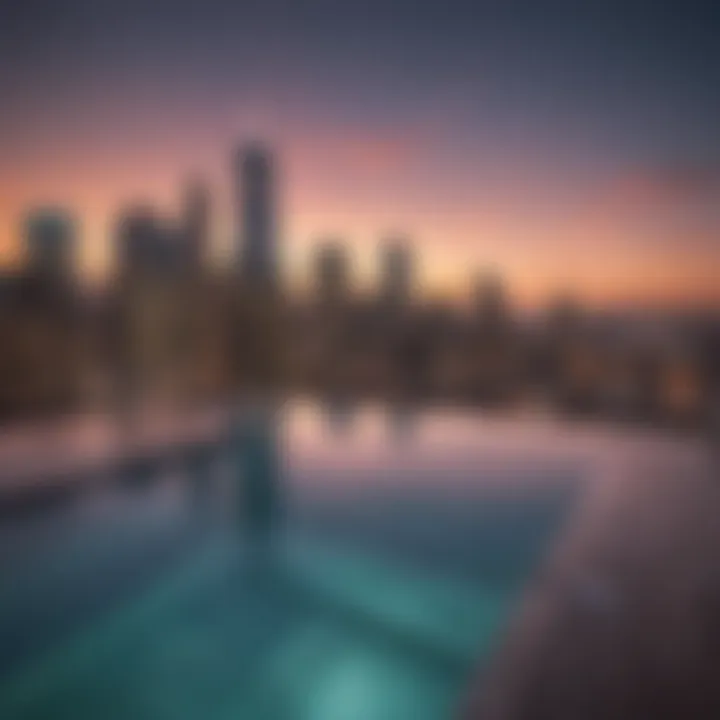 Rooftop infinity pool overlooking the city skyline