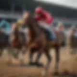 Majestic horse racing at Grand National