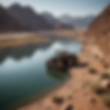 Navigating Agricultural Challenges Amidst Lake Mead's Decline Impact of shrinking Lake Mead on agricultural practices