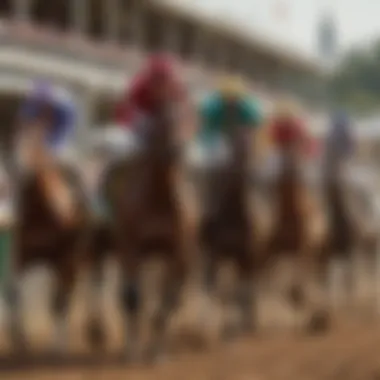 Jockeys in colorful silks leading their horses to the starting gate